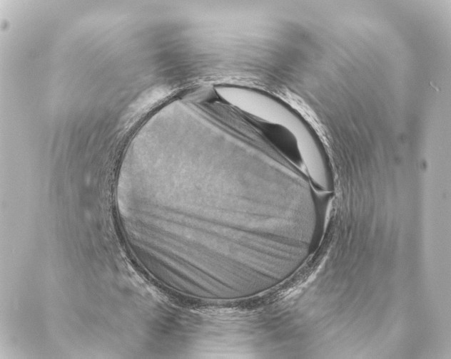 X0000088630577200706221522