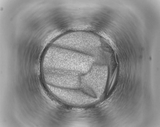 X0000088630582200706221522