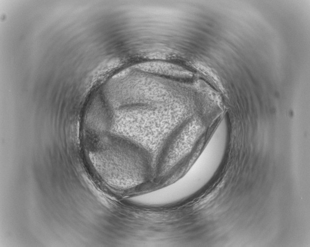 X0000088630589200706221522
