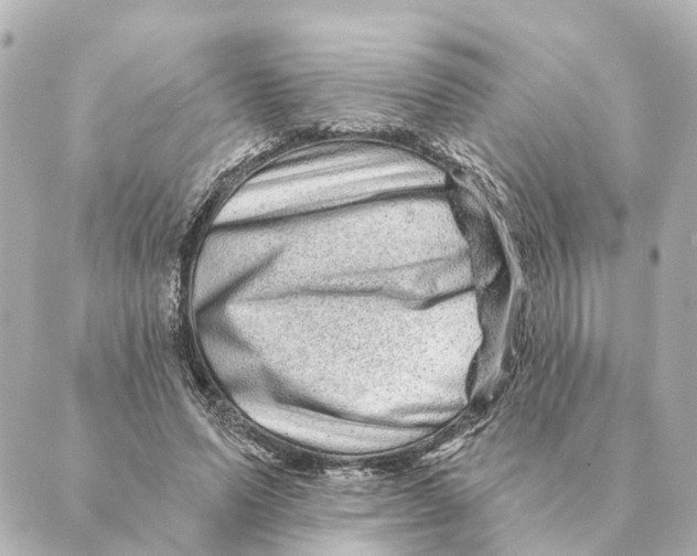 X0000088630591200706221522