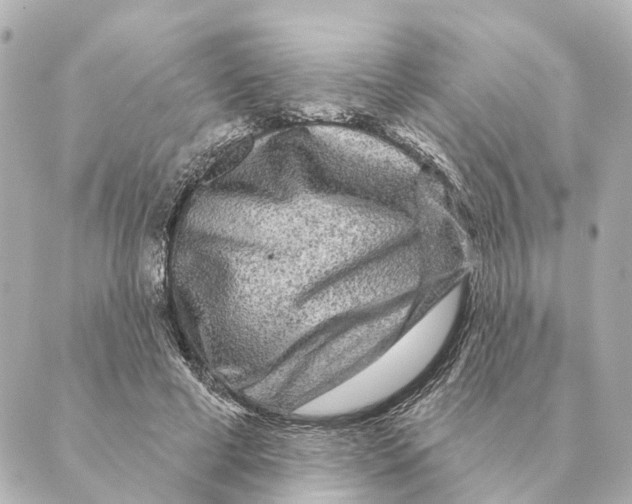 X0000088630593200706221522