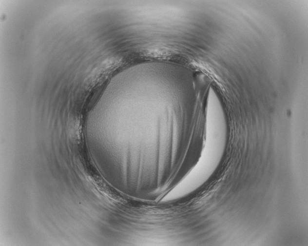 X0000088630597200706221522