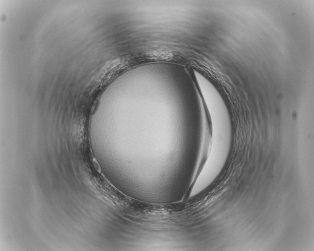 X0000088630600200706221522