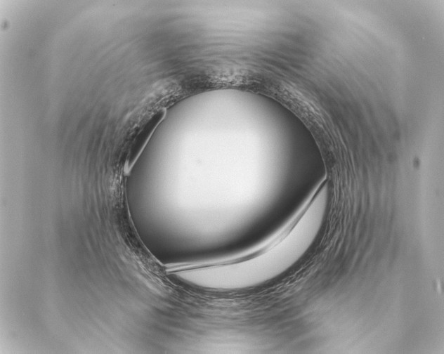X0000088630601200706221522