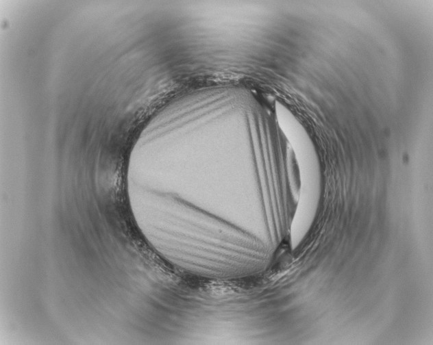 X0000088630608200706221522