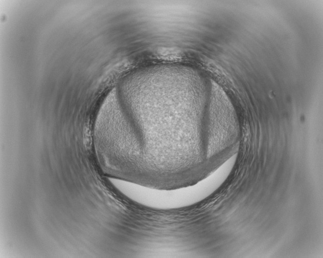 X0000088630609200706221522