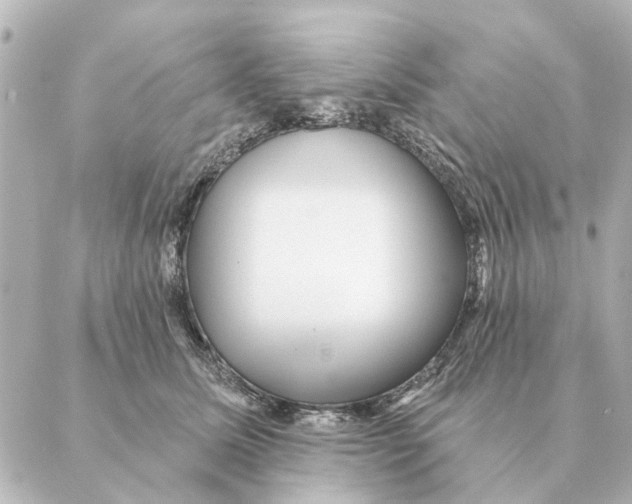 X0000088630611200706221522