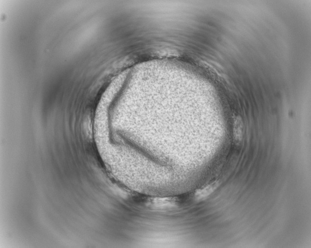 X0000088630622200706221522