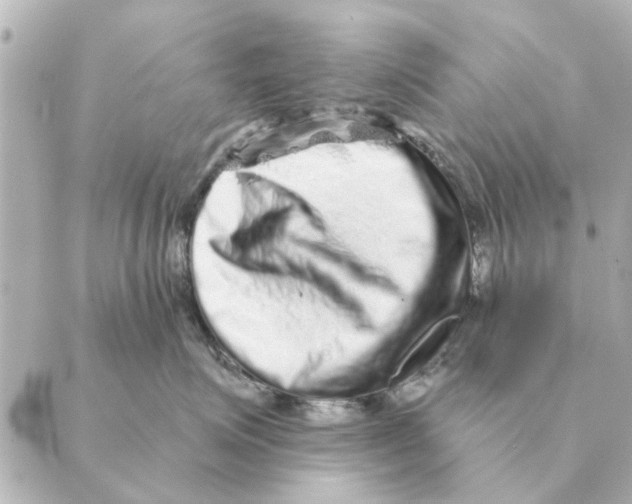X0000088630623200706221522