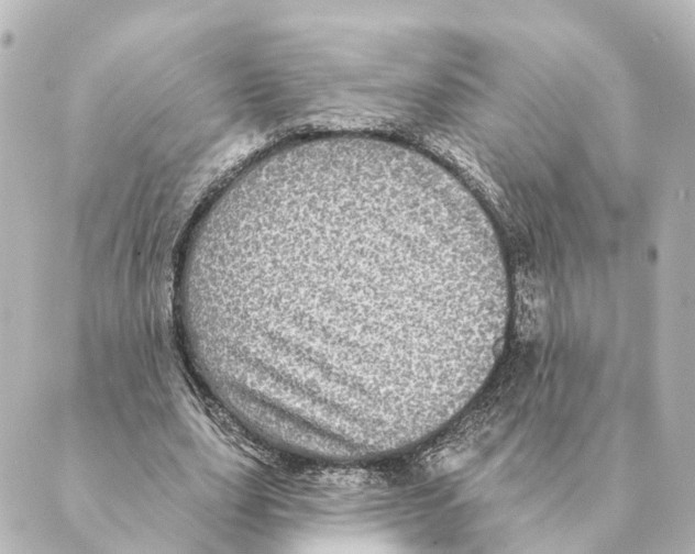 X0000088630631200706221521