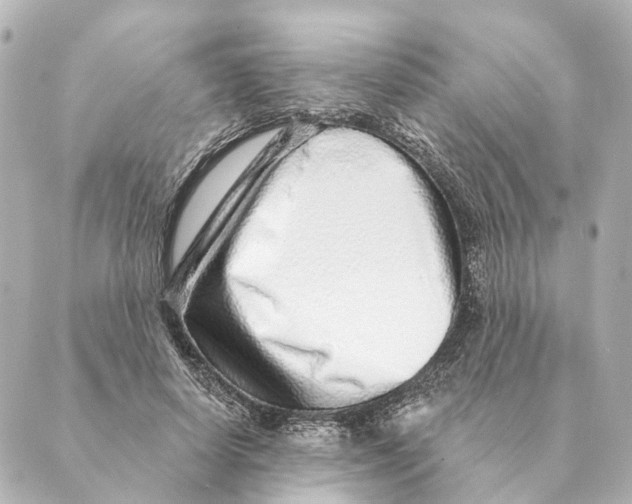 X0000088630642200706221521