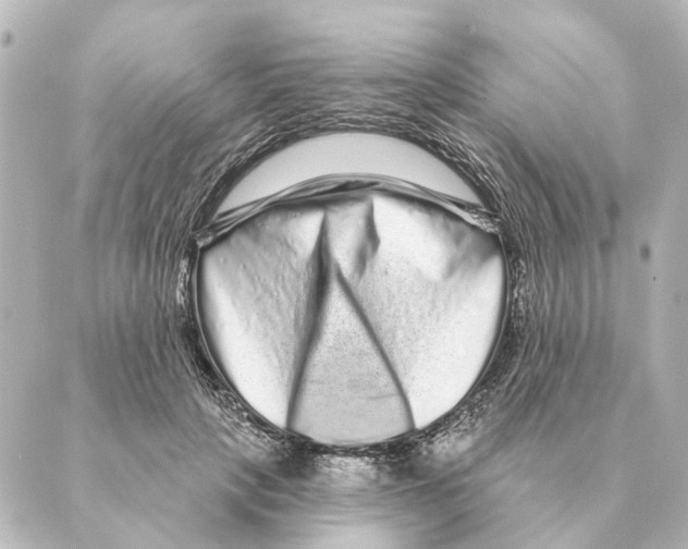 X0000088630649200706221521