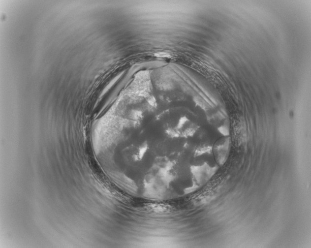 X0000088630654200706221521