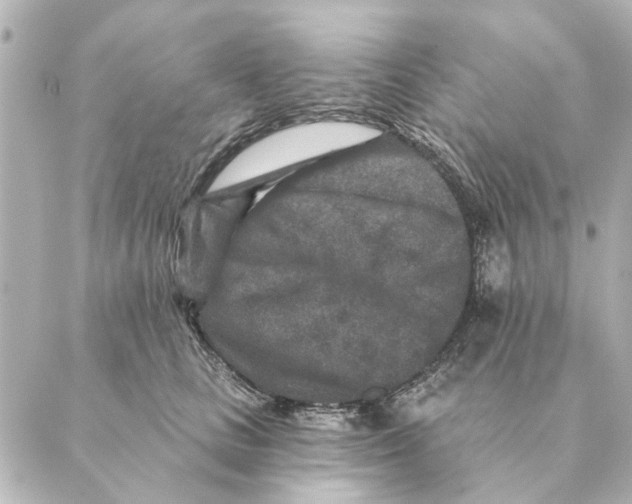 X0000088630661200706221522