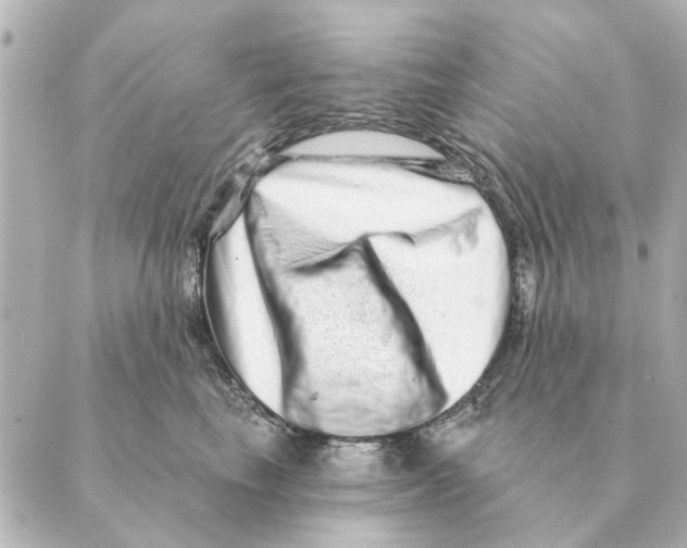 X0000088630665200706221522