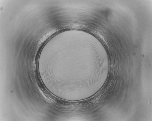 X0000088630674200706221521