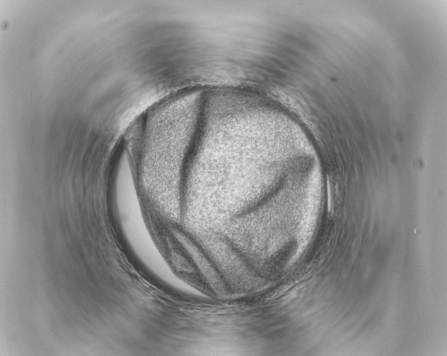 X0000088630675200706221521