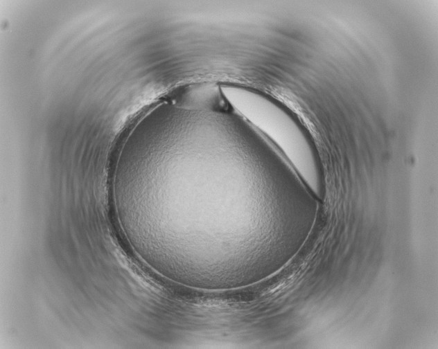 X0000088630677200706221521