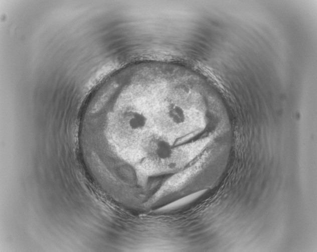 X0000088630679200706221521