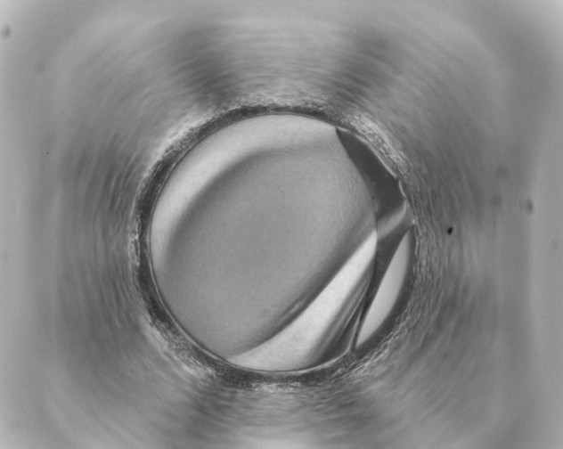 X0000088630680200706221521