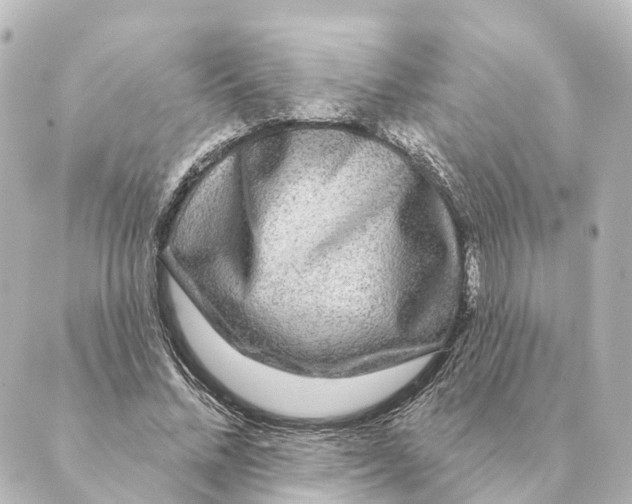 X0000088630684200706221521