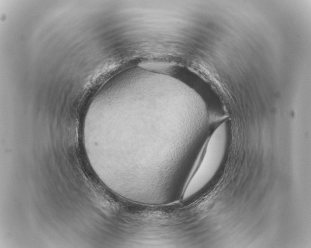 X0000088630685200706221521