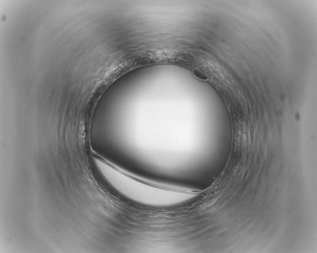 X0000088630700200706221521