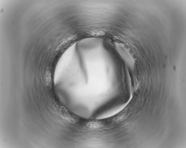 X0000088630704200706221520