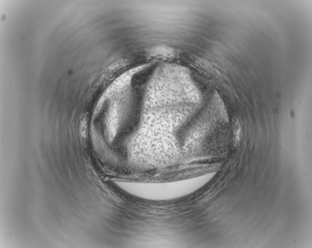 X0000088630708200706221520