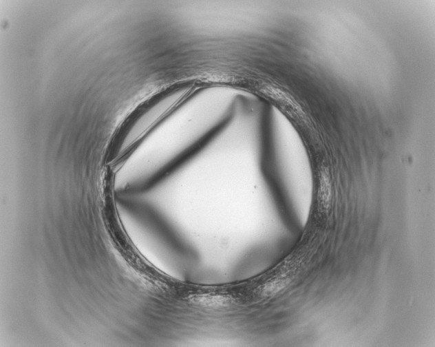 X0000088630730200706221520