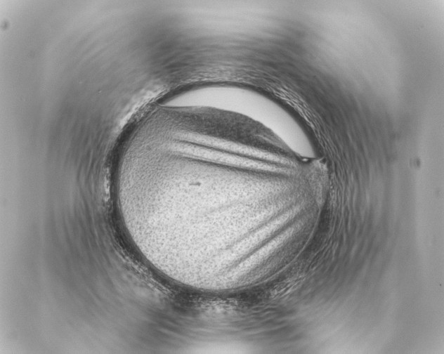 X0000088630731200706221520