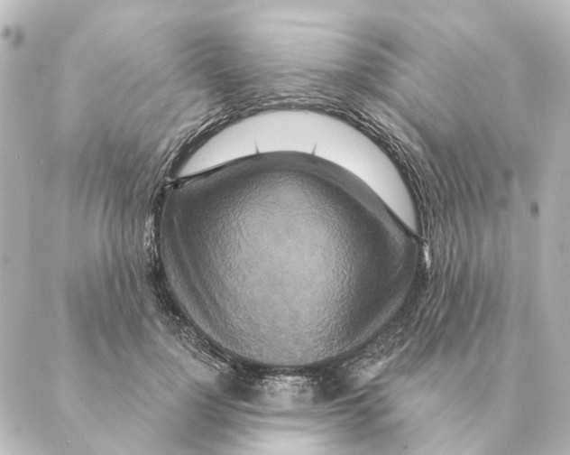 X0000088630748200706221520
