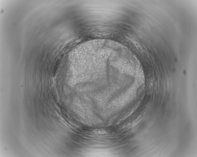 X0000088630749200706221520
