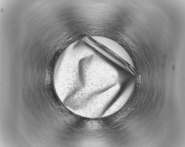 X0000088630751200706221520