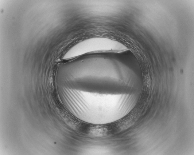 X0000088630754200706221520