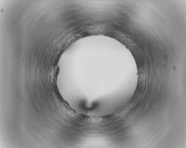 X0000088630767200706221520