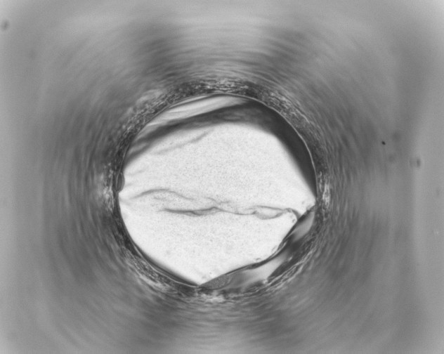X0000088630771200706221519