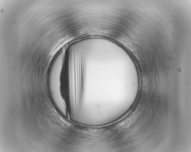 X0000088630782200706221519