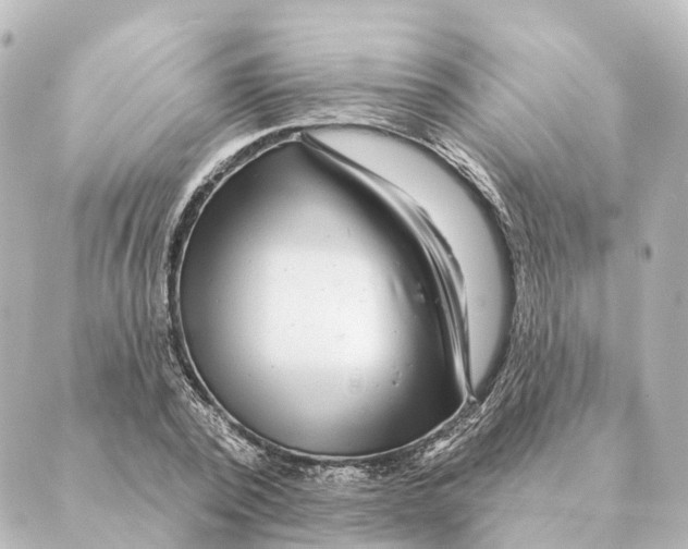 X0000088630784200706221519