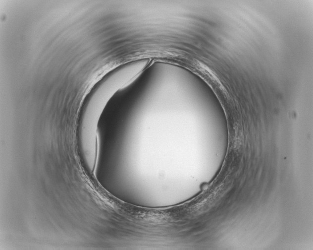 X0000088630786200706221519