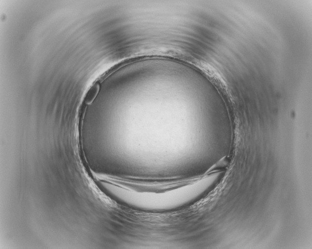 X0000088630792200706221519