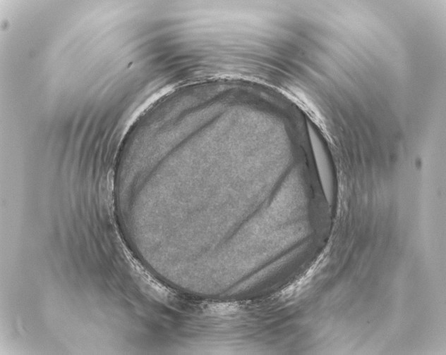 X0000088630798200706221519