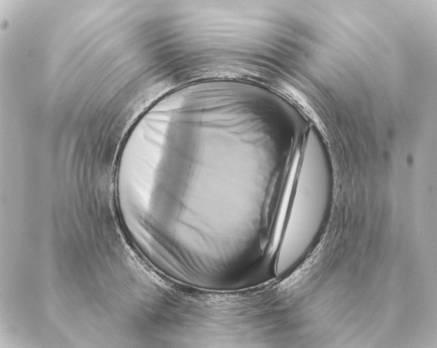 X0000088630802200706221519