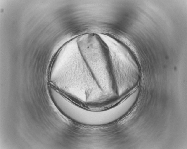 X0000088630803200706221519