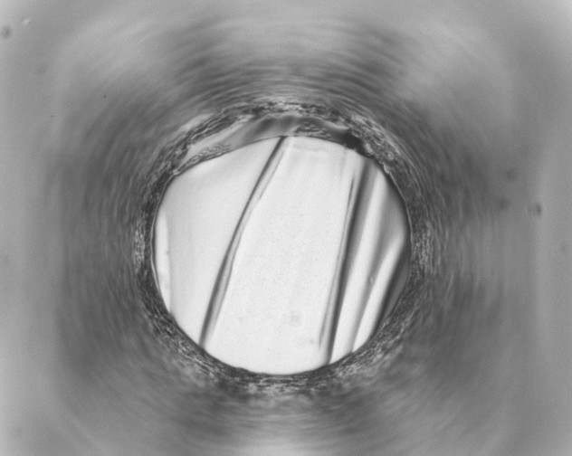 X0000088630821200706221518
