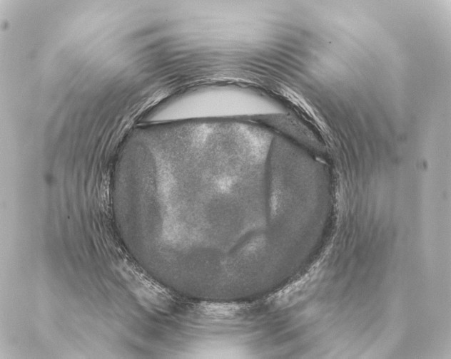 X0000088630825200706221518