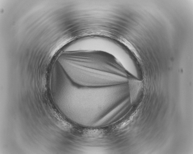 X0000088630826200706221518
