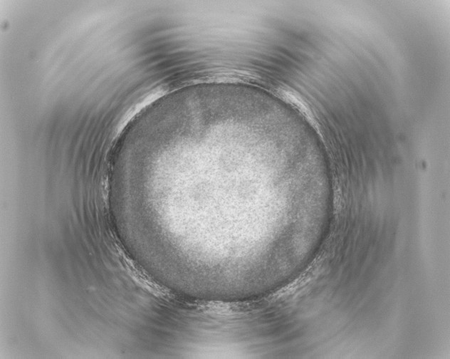 X0000088630827200706221518