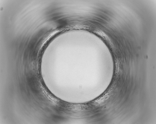 X0000088630828200706221518