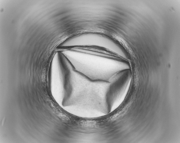 X0000088630833200706221518